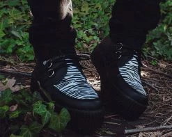 V9773 Black & White Zebra Viva Mondo Creeper