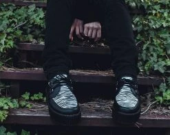 V9773 Black & White Zebra Viva Mondo Creeper