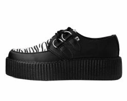 V9773 Black & White Zebra Viva Mondo Creeper